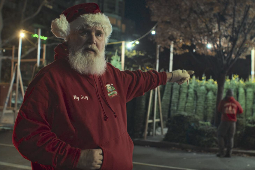 ‘They give up their holiday so others can celebrate’: Doc spotlights unsung Christmas tree vendors of NYC