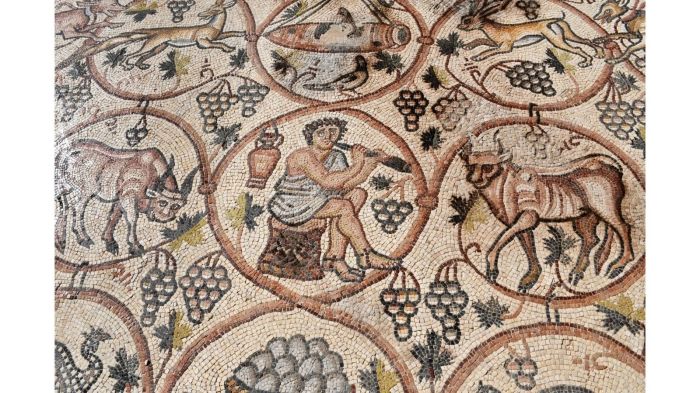 Ancient mosaic unearthed in southern Israel now restored and ready for public viewing